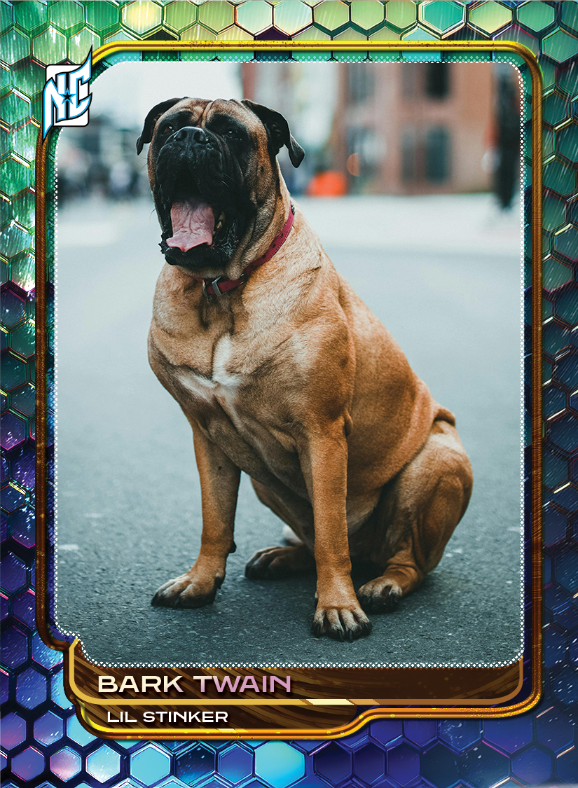 Custom Pet Cards by NCASE CARDS. A picture of an custom pet card with a big dog posing. A custom card with a colorful borer.