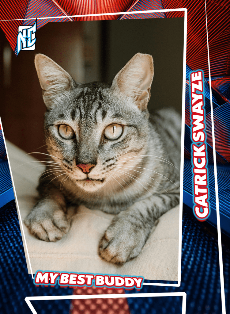 Custom Pet Cards by NCASE CARDS. A cat posing for a custom pet card.