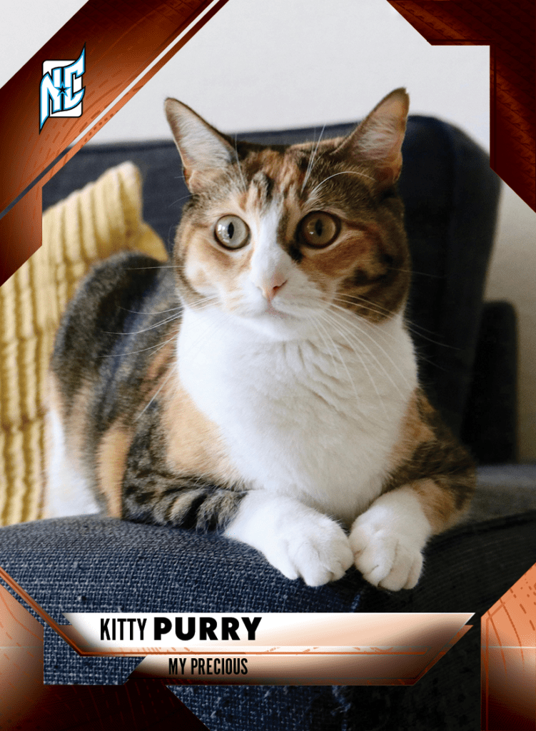 Custom Pet Cards by NCASE CARDS. A picture of a cat posing for a custom card.
