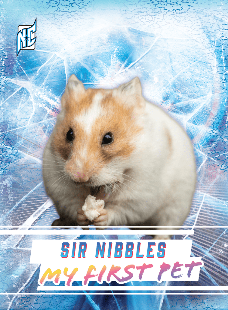 Custom Pet Cards by NCASE CARDS. A photo of a hamster posing on a custom pet card.