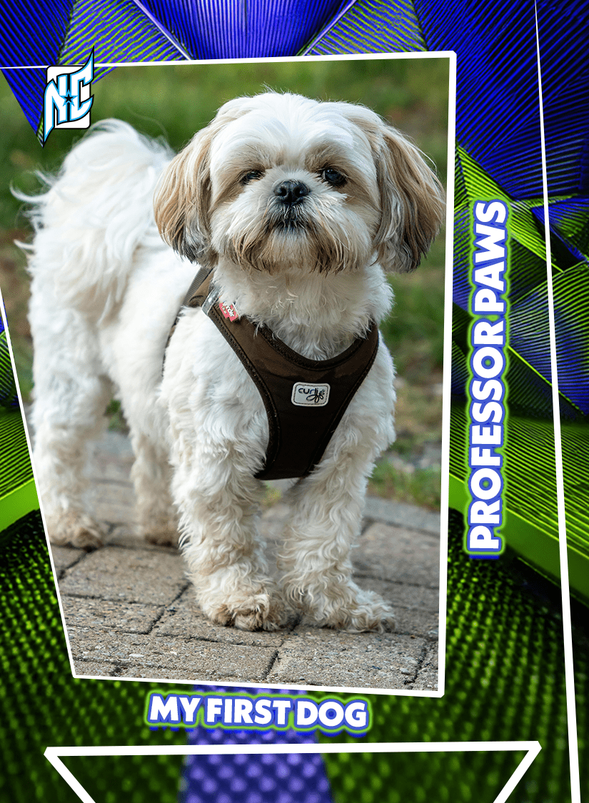 Custom Pet Cards by NCASE CARDS. A dog posing on a custom pet card.